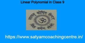 Linear Polynomial in Class 9